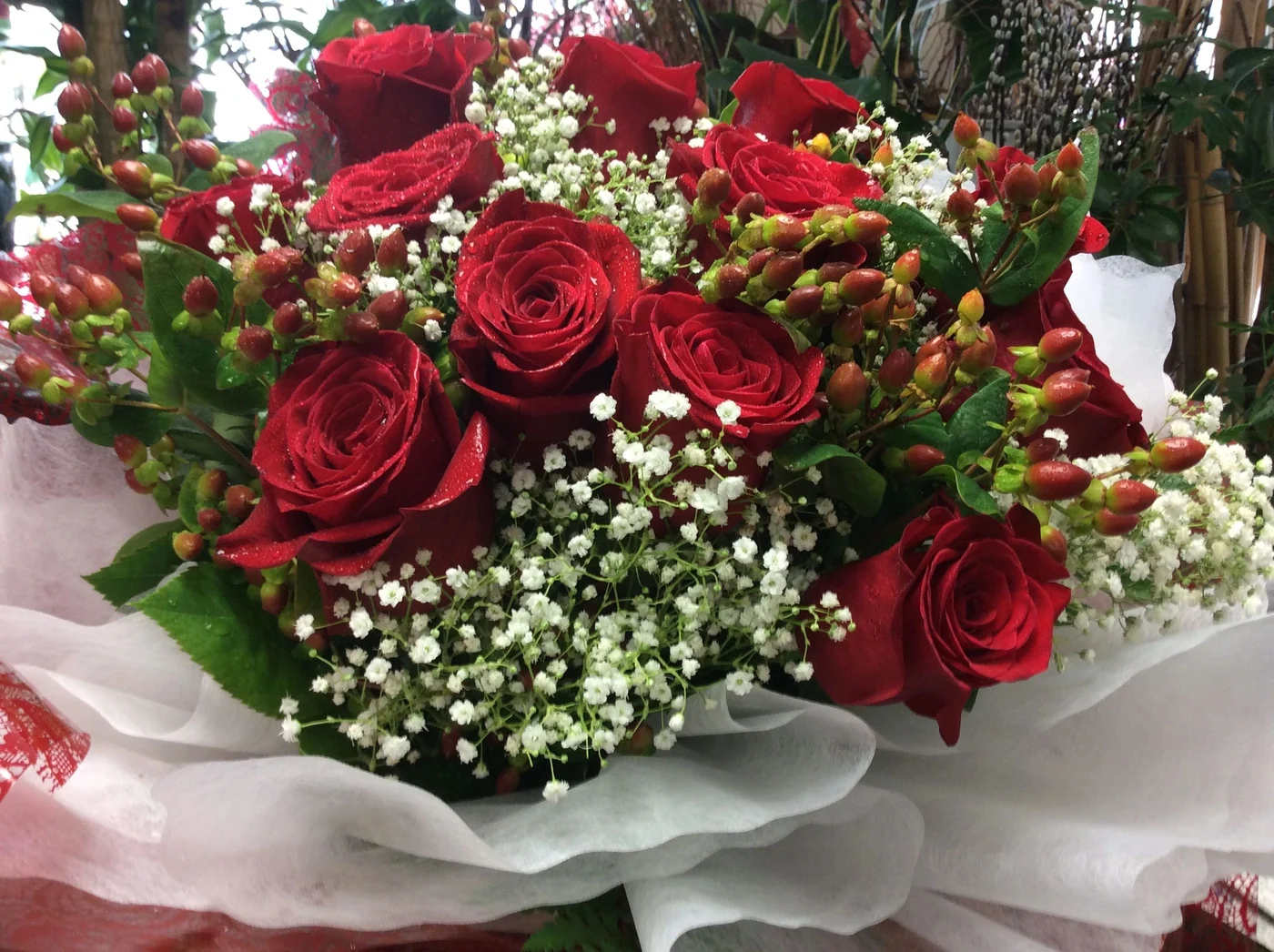 1 Dz Red Rose
