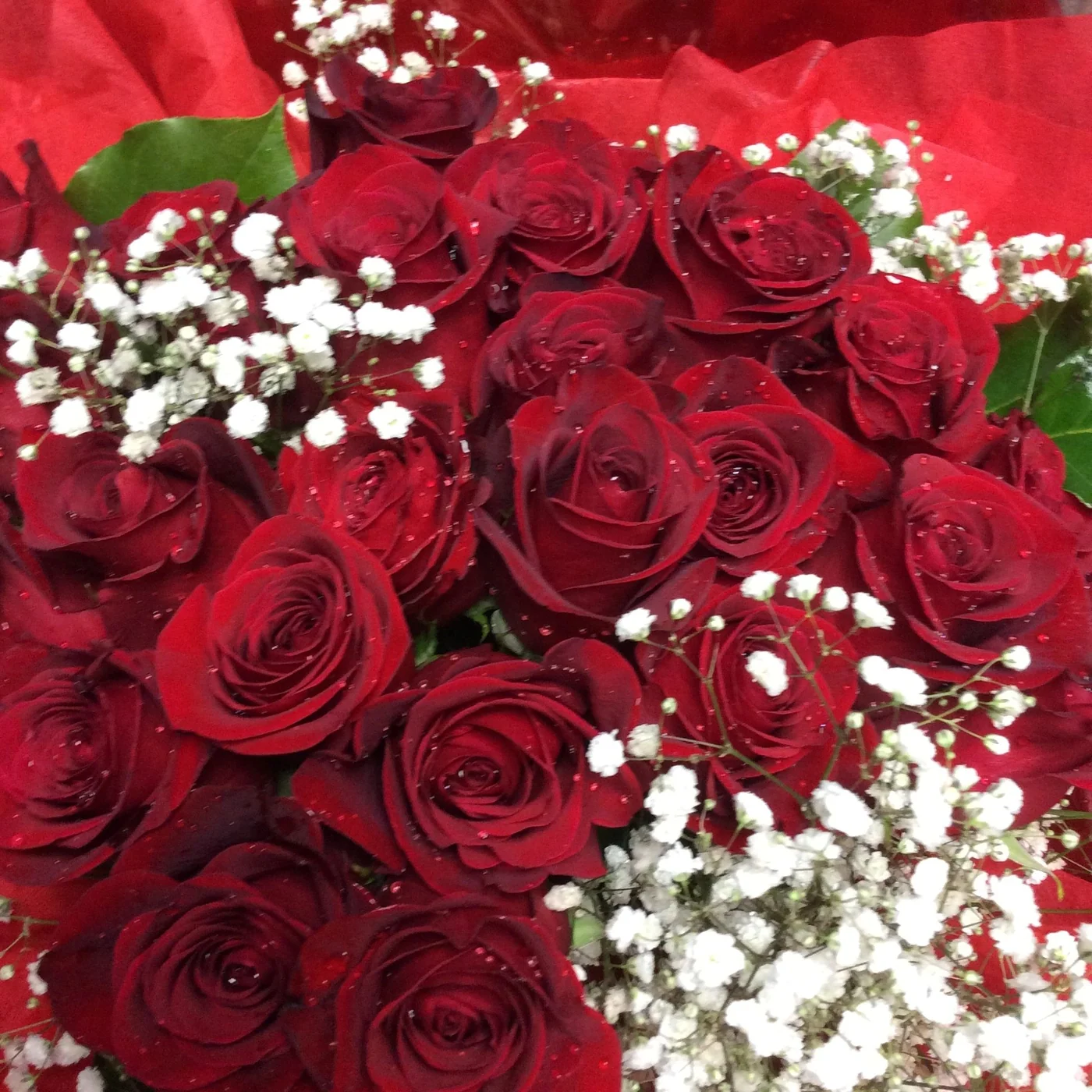 2 Dz Red Roses